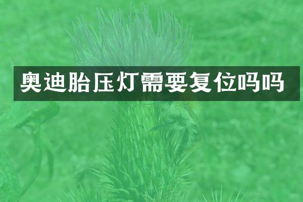 奥迪胎压灯需要复位吗吗