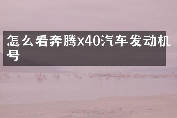 怎么看奔腾x40汽车发动机号