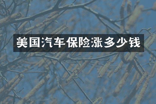 美国汽车保险涨多少钱