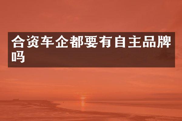 合资车企都要有自主品牌吗
