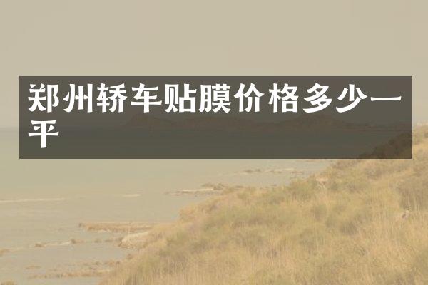 郑州轿车贴膜价格多少一平