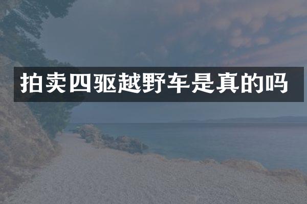 拍卖四驱越野车是真的吗