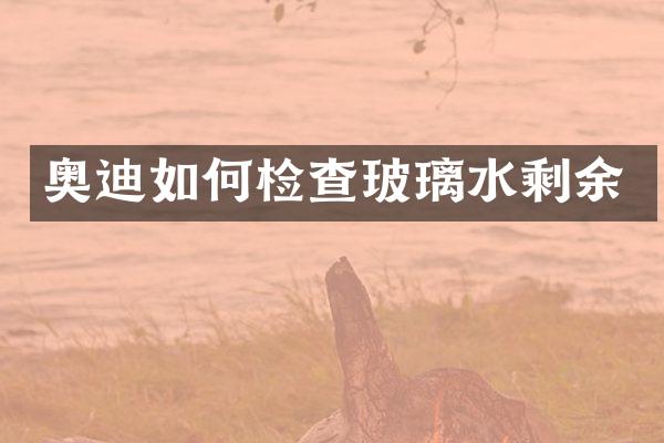 奥迪如何检查玻璃水剩余
