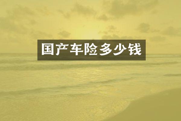 国产车险多少钱