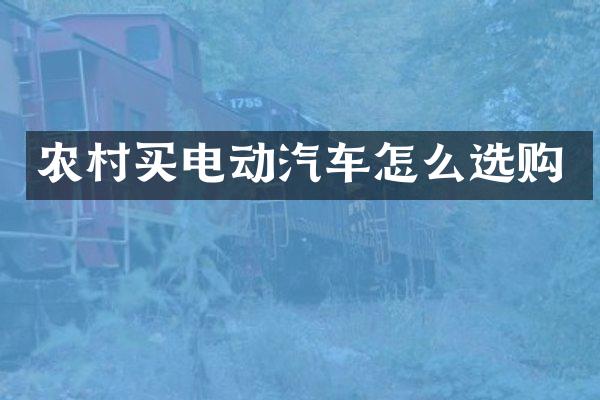 农村买电动汽车怎么选购