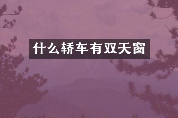 什么轿车有双天窗