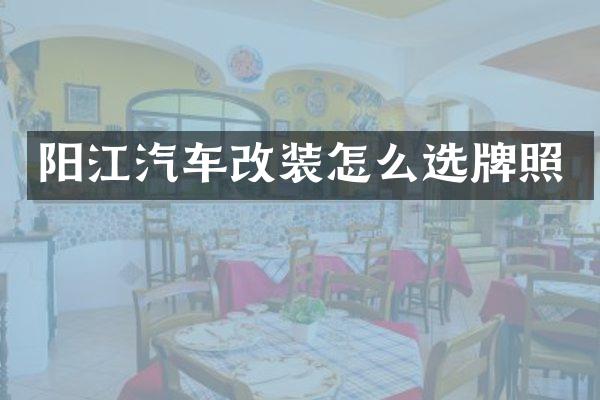 阳江汽车改装怎么选牌照