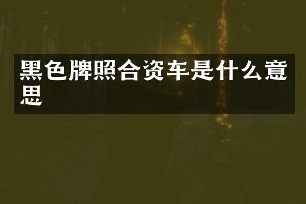 黑色牌照合资车是什么意思