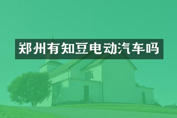 郑州有知豆电动汽车吗