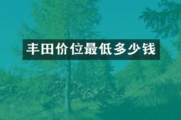 丰田价位最低多少钱