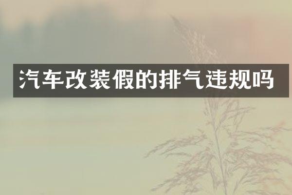 汽车改装假的排气违规吗