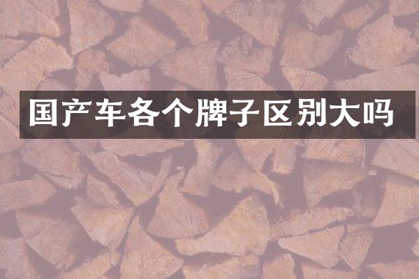 国产车各个牌子区别大吗