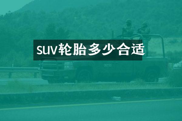 suv轮胎多少合适