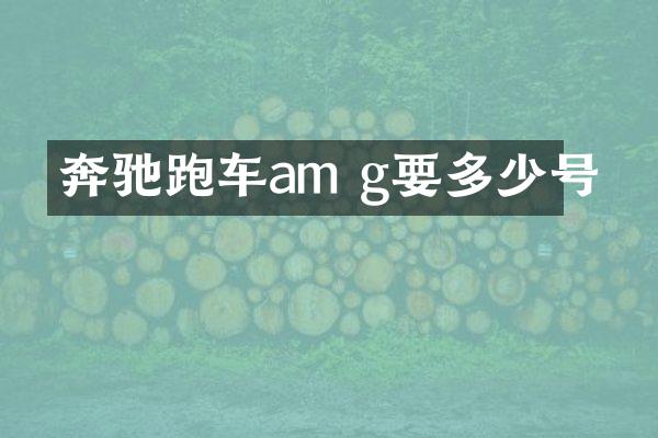 奔驰跑车am g要多少号