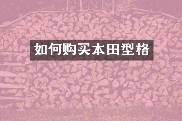 如何购买本田型格