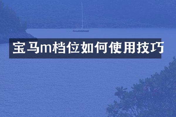 宝马m档位如何使用技巧