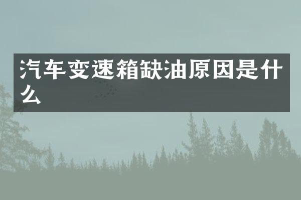 汽车变速箱缺油原因是什么