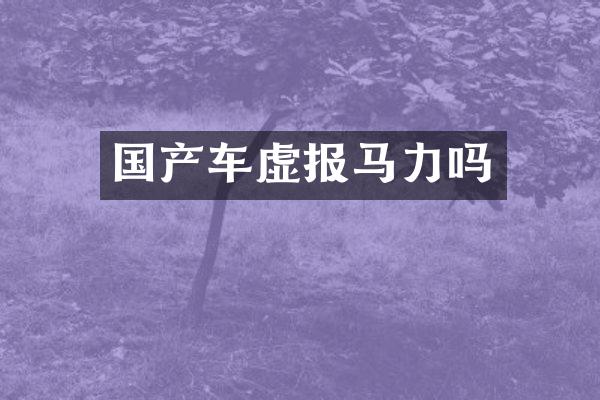 国产车虚报马力吗