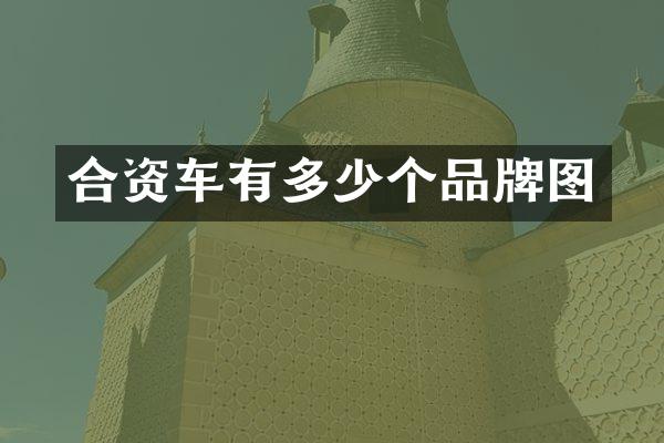 合资车有多少个品牌图