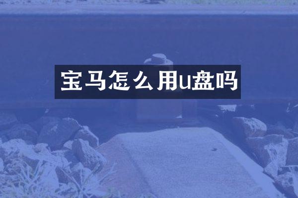 宝马怎么用u盘吗