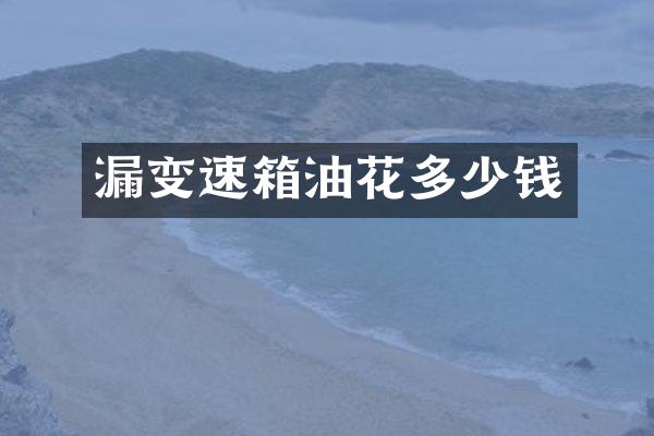 漏变速箱油花多少钱
