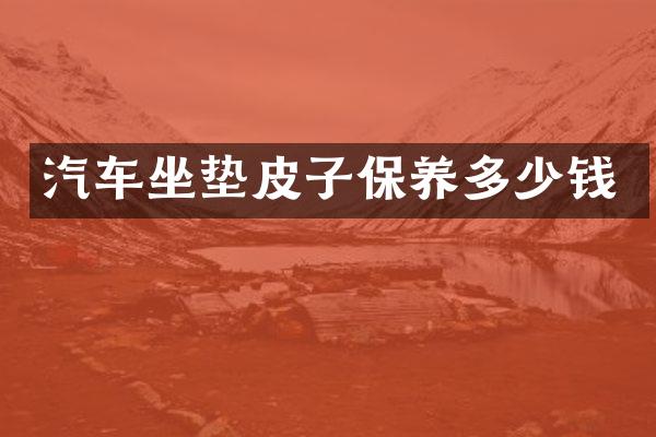 汽车坐垫皮子保养多少钱