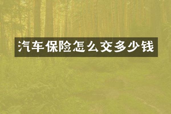汽车保险怎么交多少钱