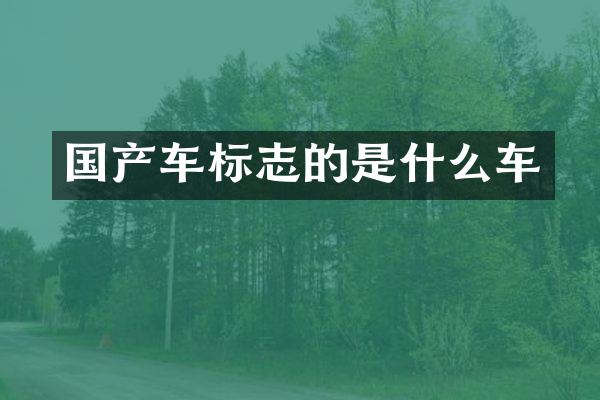 国产车标志的是什么车
