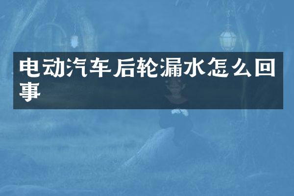 电动汽车后轮漏水怎么回事