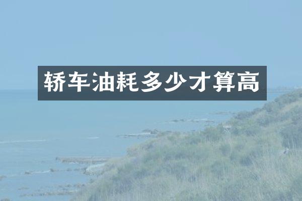轿车油耗多少才算高