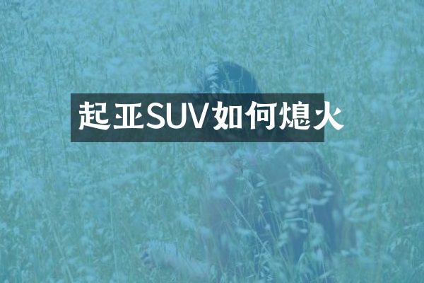 起亚SUV如何熄火