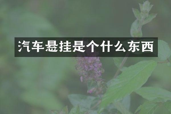 汽车悬挂是个什么东西