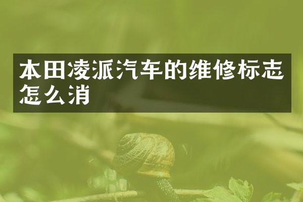 本田凌派汽车的维修标志怎么消