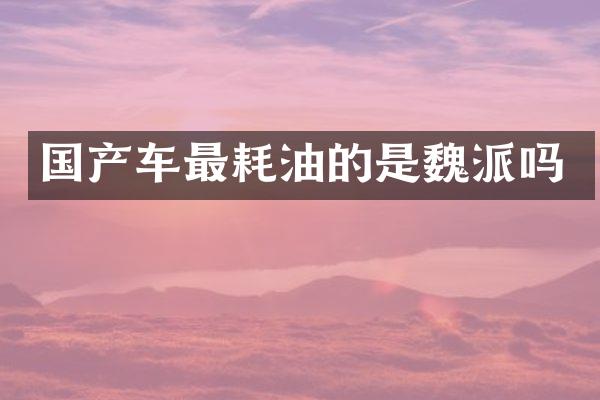 国产车最耗油的是魏派吗