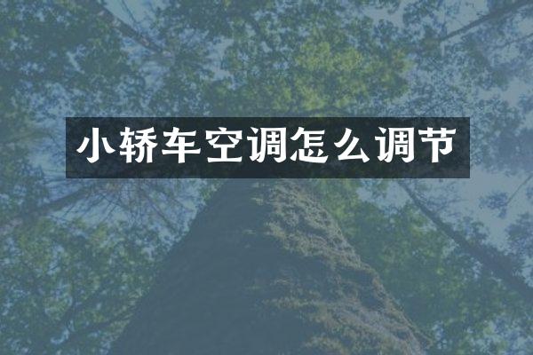小轿车空调怎么调节