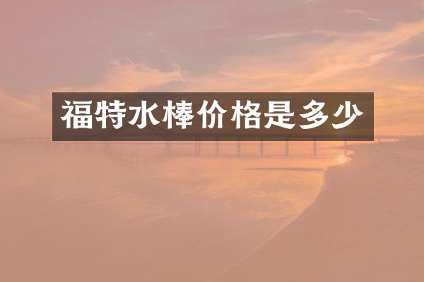 福特水棒价格是多少