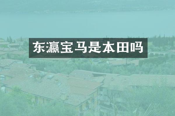 东瀛宝马是本田吗