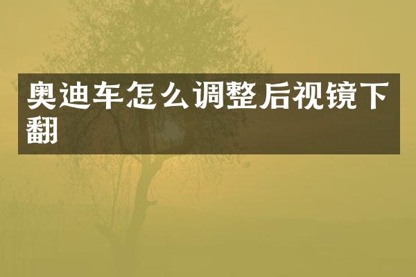 奥迪车怎么调整后视镜下翻