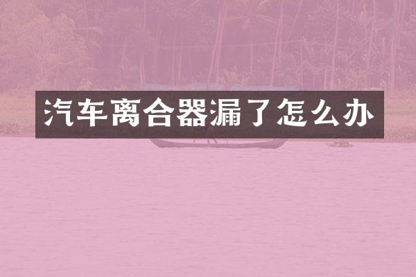 汽车离合器漏了怎么办
