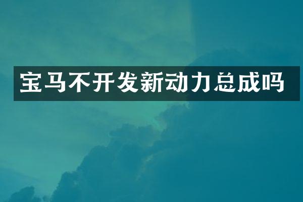 宝马不开发新动力总成吗