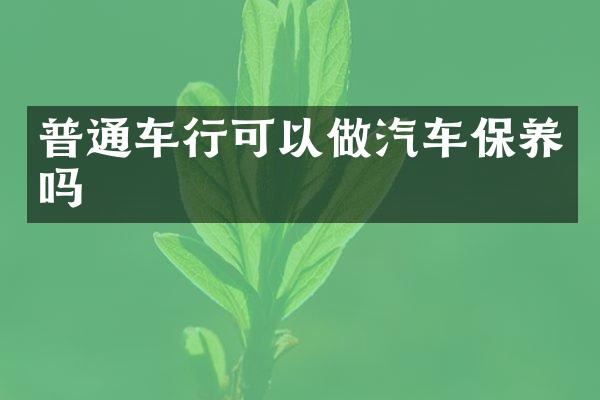 普通车行可以做汽车保养吗