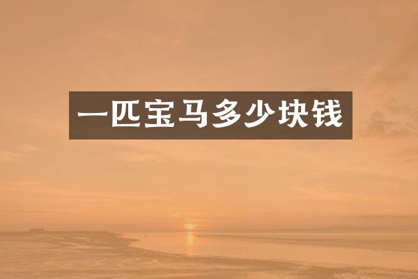 一匹宝马多少块钱