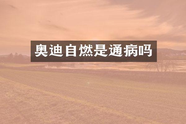 奥迪自燃是通病吗
