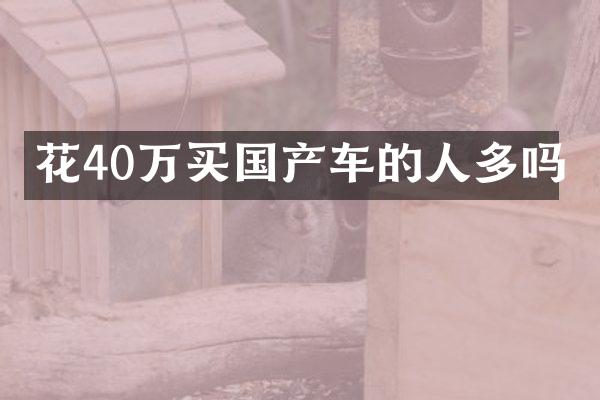 花40万买国产车的人多吗