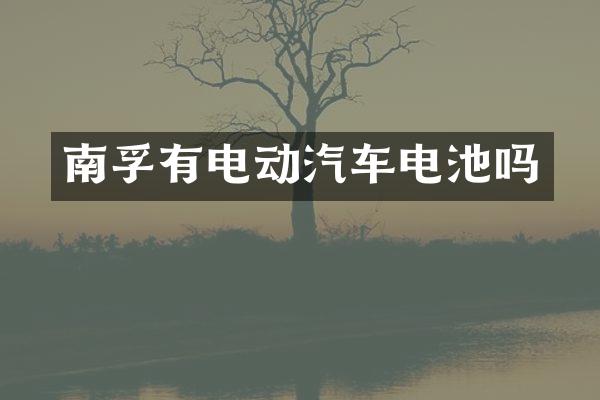 南孚有电动汽车电池吗