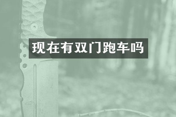现在有双门跑车吗