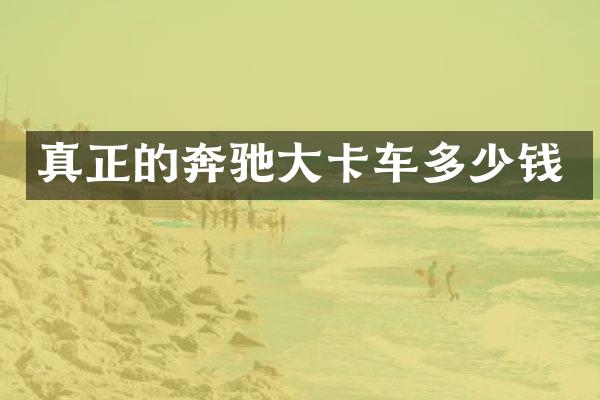 真正的奔驰大卡车多少钱