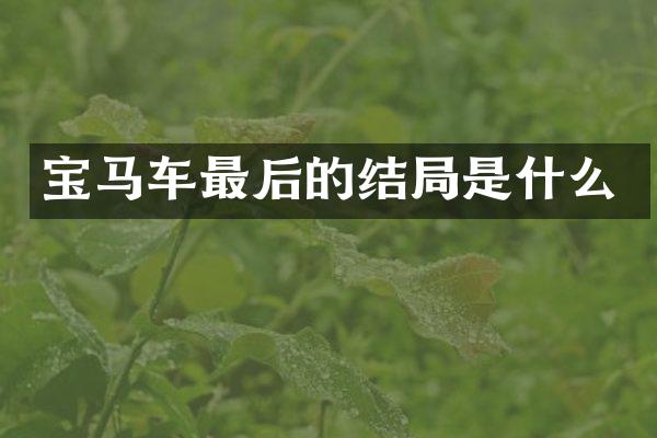 宝马车最后的结局是什么