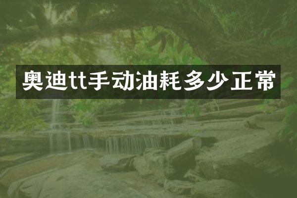 奥迪tt手动油耗多少正常
