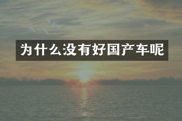 为什么没有好国产车呢